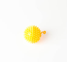 Spiky Rubber Dog Ball Toy
