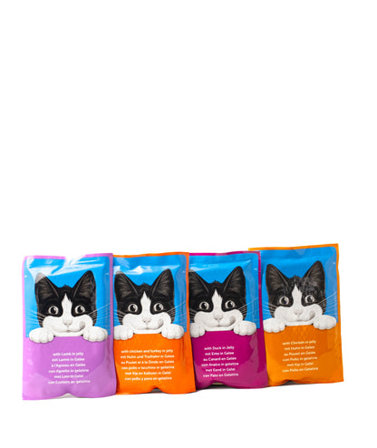 Purina Felix Adult cat wet food in Jelly
