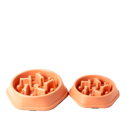 Slow Feeder Bowl for Dogs & Cats