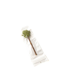 Catnip Lollipop treat