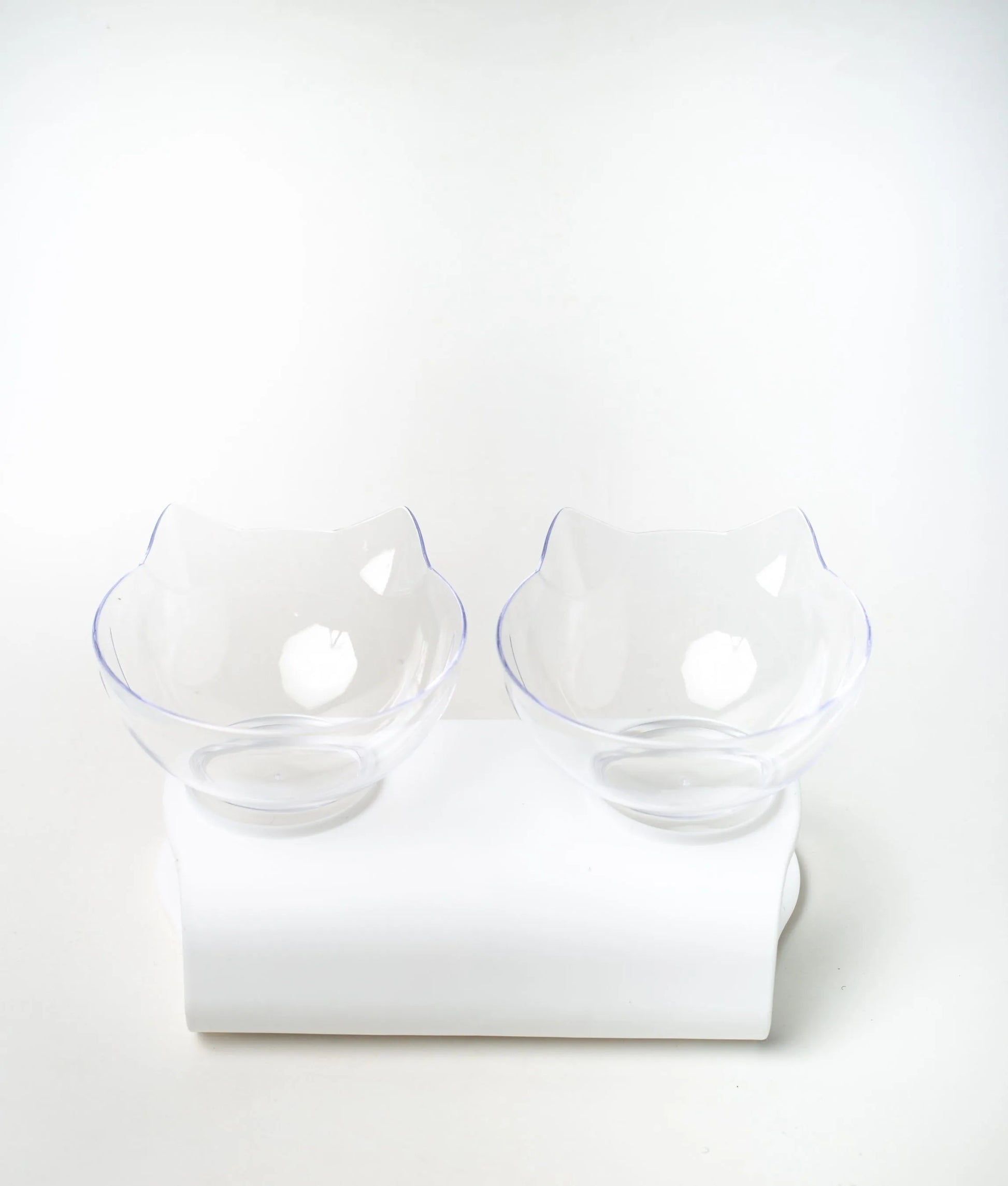 Non-Slip Oblique Double Cat Bowl with Stand