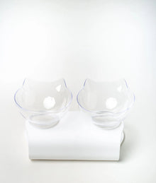 Non-Slip Oblique Double Cat Bowl with Stand