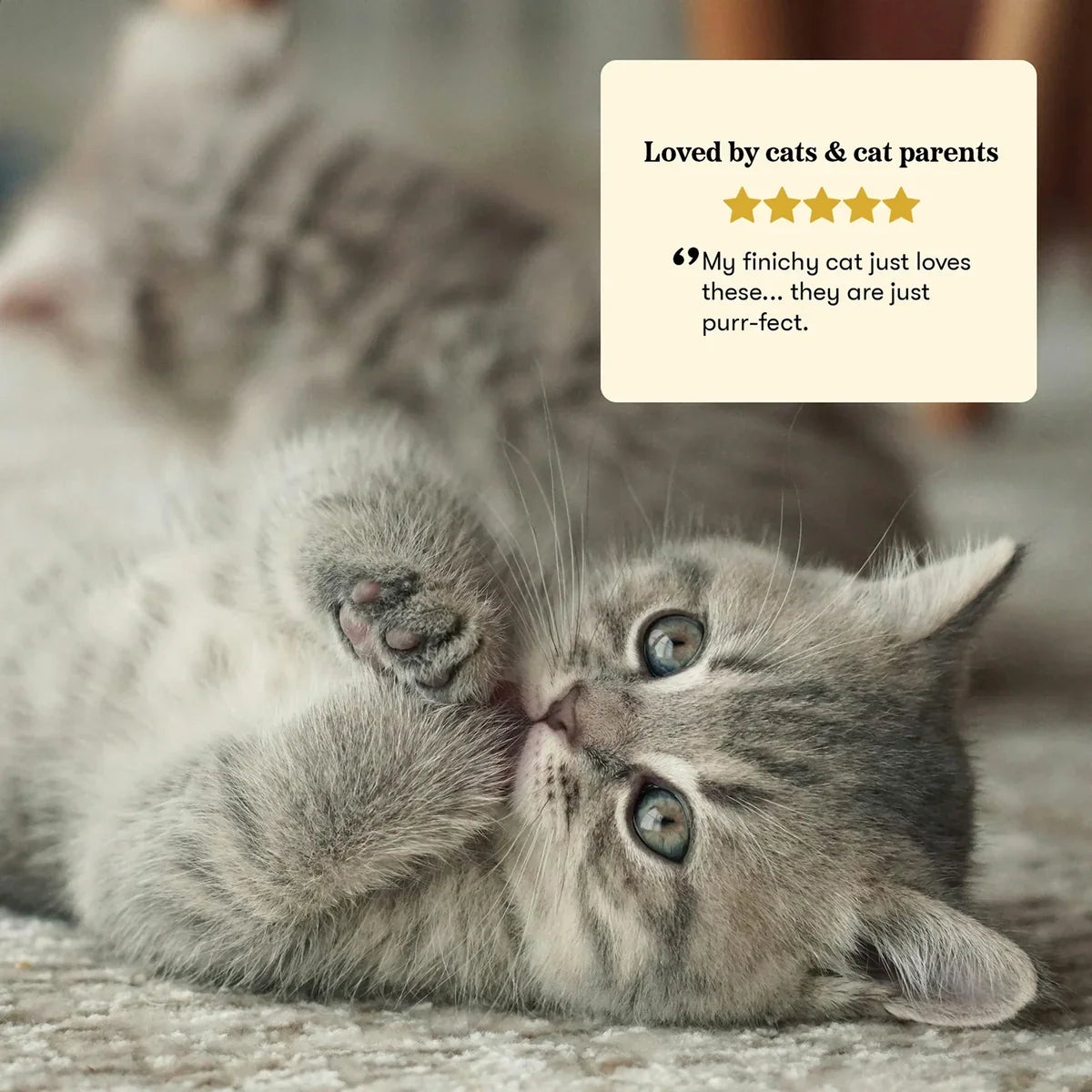 Plato Air-Dried Chicken Cat Treats lifestyle photo