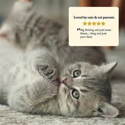 Plato Air-Dried Chicken Cat Treats lifestyle photo