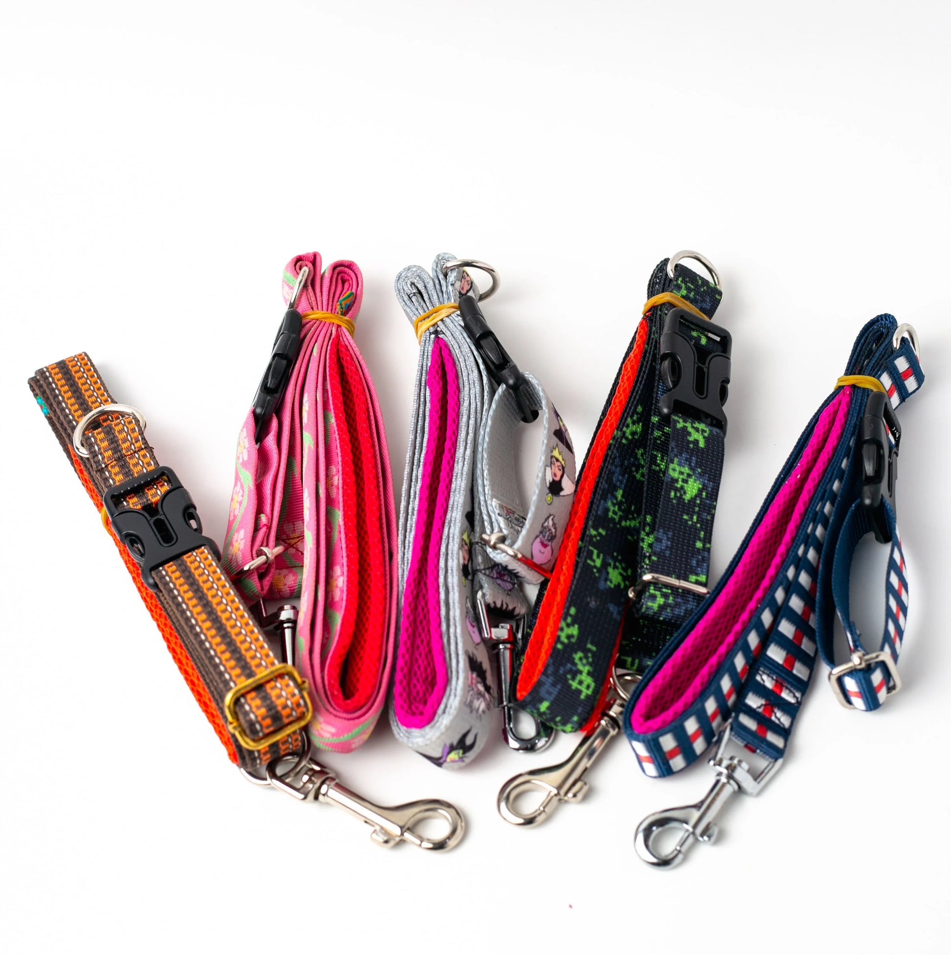 Puppy Leash & Collar