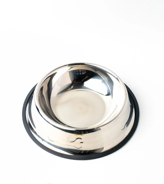 Semi Medium Dog Plate