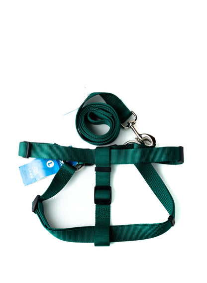 Green adjustable dog harness with matching lead