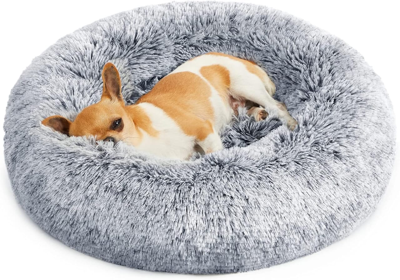 Feandrea calming donut bed in grey long plush, with a small chihuahua curled asleep inside the raised rim