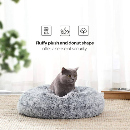 A grey cat sitting in the Feandrea donut bed by a window, showing the fluffy plush and donut shape