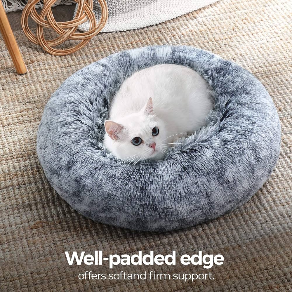 A white cat curled in the donut bed resting its chin on the well padded raised edge