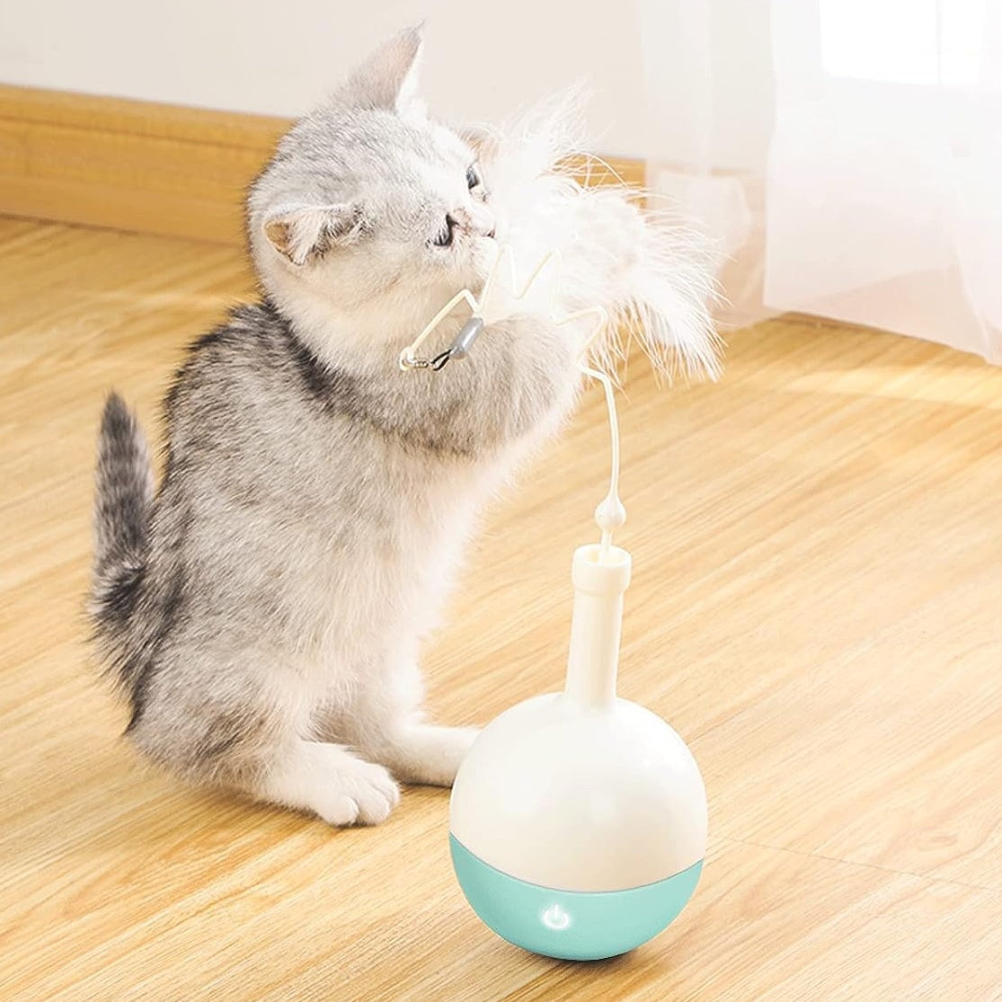 Kitten playing with the Pakeway tumbler toy feather wand