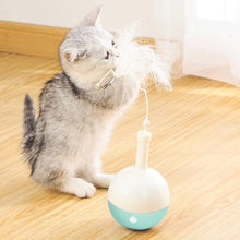 Kitten playing with the Pakeway tumbler toy feather wand
