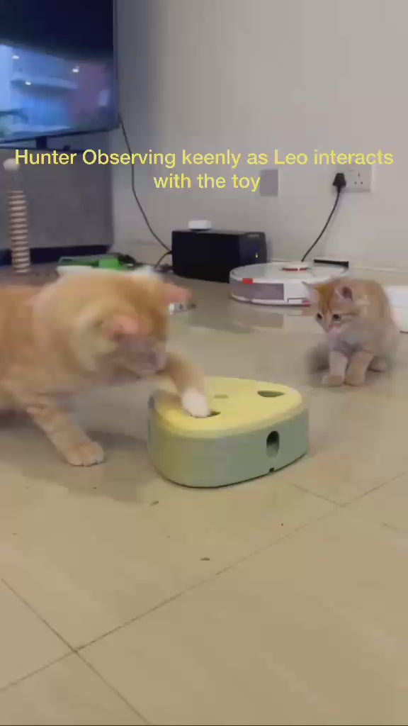 Cats playing with the Pakeway pop up feather cheese toy