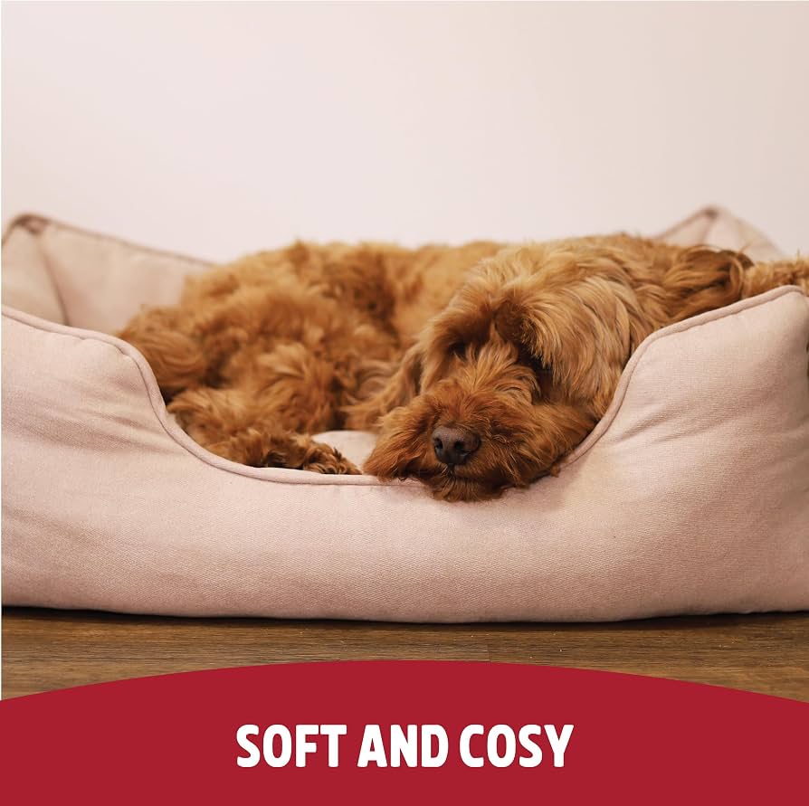 A curly coated dog resting its head on the padded side of the beige Rosewood box bed