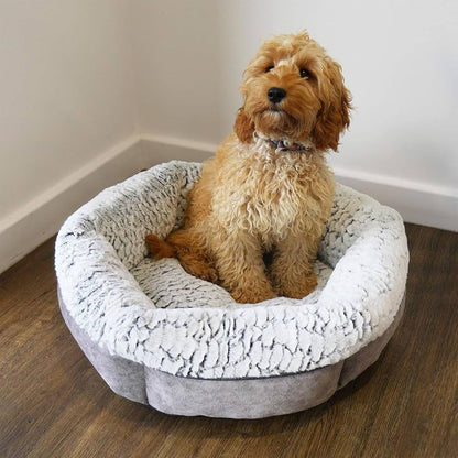 A small curly coated dog sitting in the Rosewood plush bed on a wooden floor, showing the deep raised sides