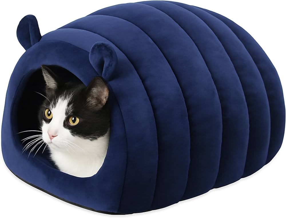 A black and white cat tucked inside the navy velvet hideaway with only its face showing at the entrance