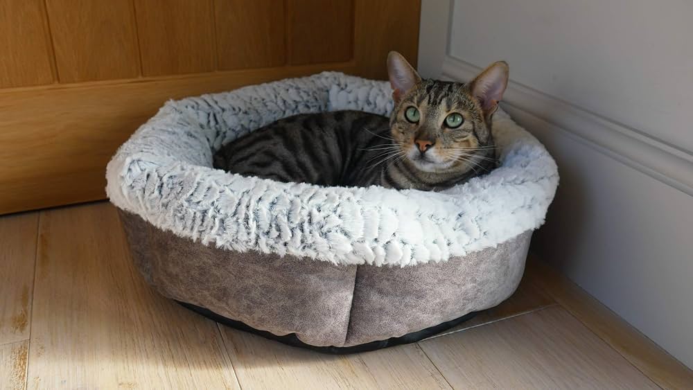 A tabby cat curled inside the small Rosewood plush bed, showing the grey faux suede outer and deep fur bolster