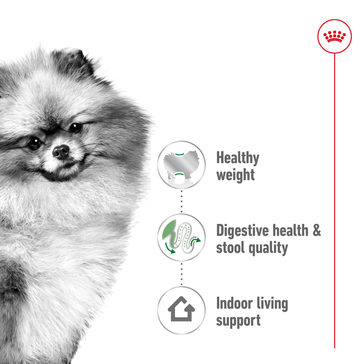 Royal Canin Mini Indoor Adult benefits