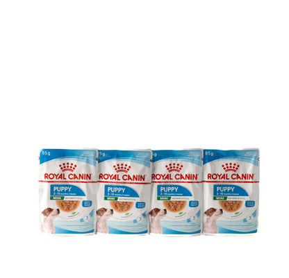 Royal Canin Mini Puppy wet dog food, 85g pouches of chunks in gravy for small breed puppies