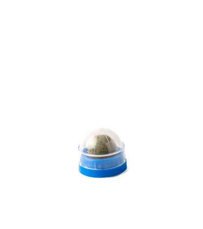 Blue wall mount catnip ball with clear protective cover