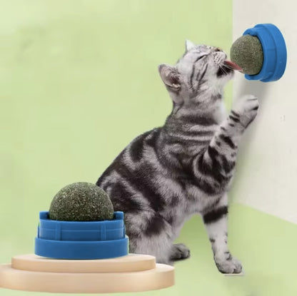 Cat licking a blue wall mount catnip ball toy