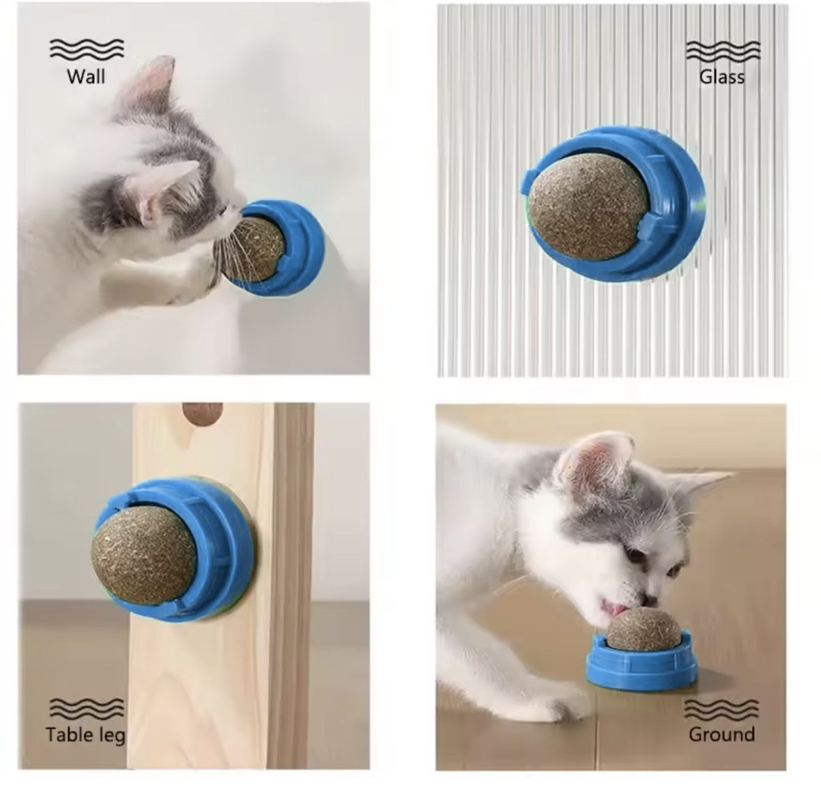 Blue catnip ball mounted on wall, glass, table leg and floor