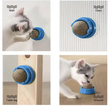 Blue catnip ball mounted on wall, glass, table leg and floor